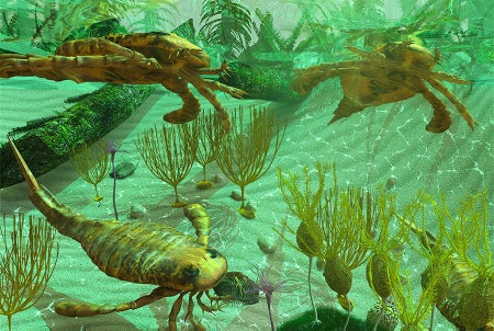 cambrian animals