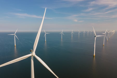 windmill farm with a blue sky on a sunny day