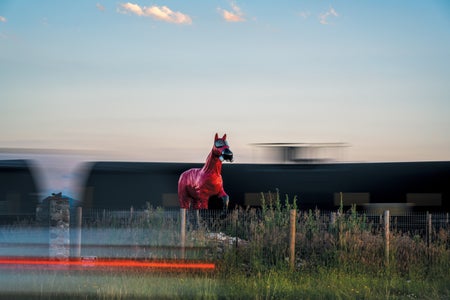 Cold War Horse, a sculpture.