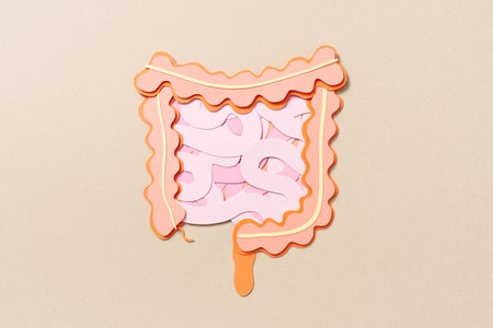 Paper cut craft human intestine anatomy on beige background.