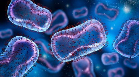 Monkeypox virus illustration