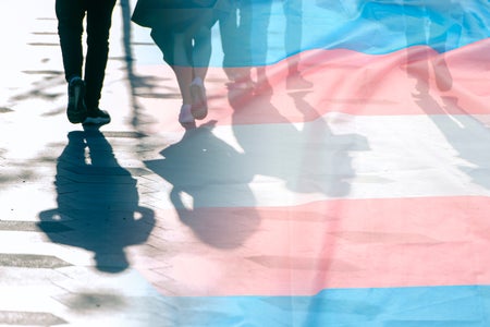 Transgender flag, shadows and silhouettes of people on a road