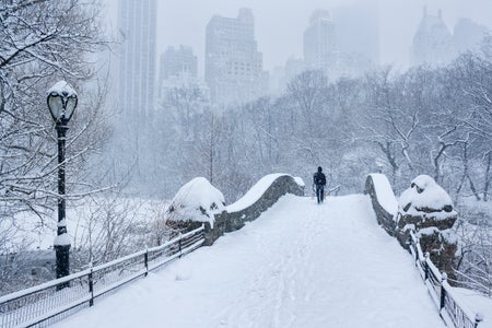 Gapstow Bridge in Central Park, New York City during a heavy snowstorm with faint outline of the central park south skyline visible in the distance behind the treeline