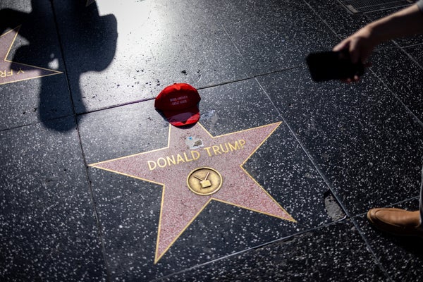 Donald Trump star on Hollywood Walk Of Fame with MAGA hat