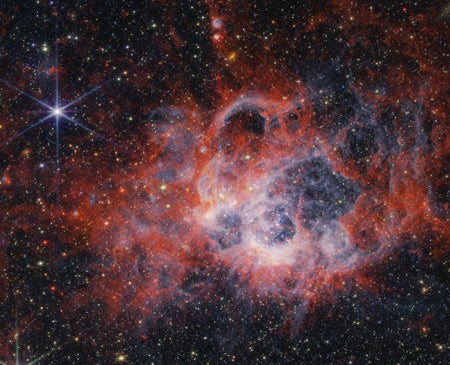 A high concentration of very young, massive stars