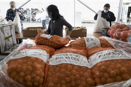 Volunteers stacking potato bags at a food bank