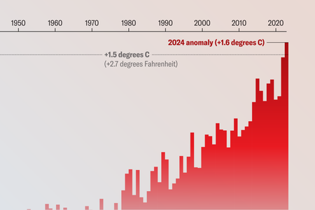 Cropped image of a chart showing annual global temperature anomalies over time, with the 2024 anomaly of 1.6 degrees Celsius highlighted.