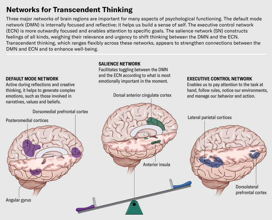 Graphic shows three major brain networks important for many aspects of psychological functioning. The default mode network is internally focused and reflective. The executive control network is more outwardly focused and enables attention to specific goals. The salience network constructs feelings of all kinds, weighing their relevance and urgency to shift thinking between the other two networks